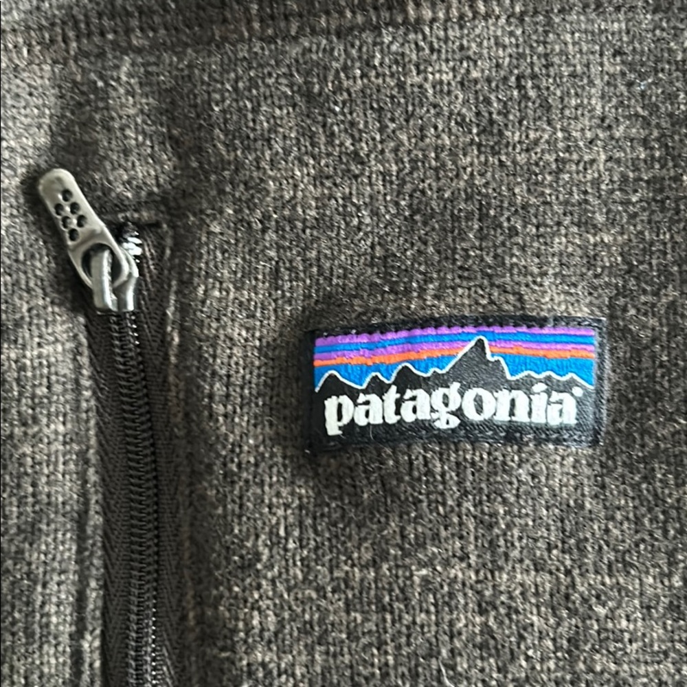 Men’s Large Patagonia vest